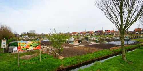 Herontwikkeling locatie De Kuil