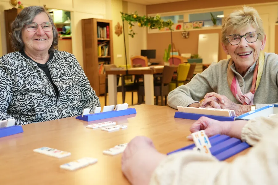 Senioren spelen spelletje